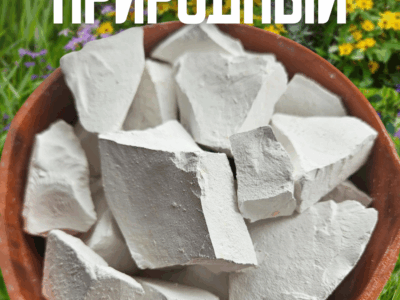 готовый действующий магазин на вб