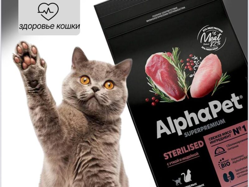 КАРТОЧКИ НА МАРКЕТПЛЕЙС